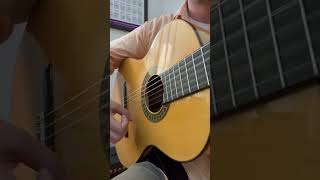 Picado Paso Doble guitar guitarstyle flamencoguitarist fingerstyleguitar acousticguitar [upl. by Nilrem34]