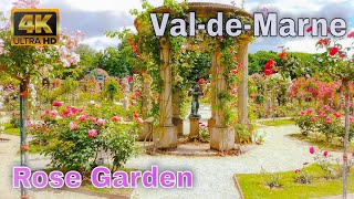 🇫🇷Roseraie du ValdeMarne  Roseraie de LHaÿ  Rose Garden 4K [upl. by Einnel]