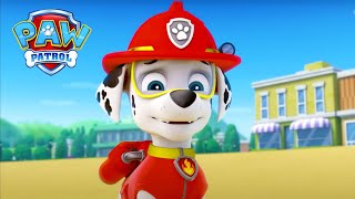 Štěňata na pláži  Tlapková patrola PAW Patrol  pohádky pro děti [upl. by Retrak]