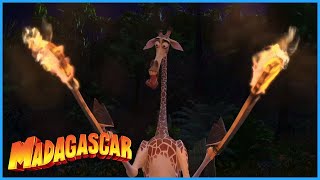 DreamWorks Madagascar  Dividing The Island  Madagascar Movie Clip [upl. by Ayahsal]