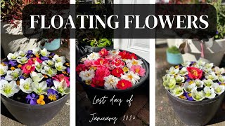 Floating Flower Arrangements [upl. by Parette431]