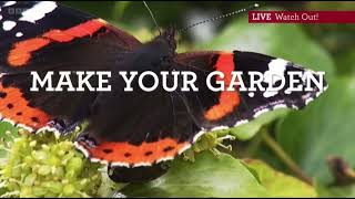 Michaela’s top tips for your wildlife garden in Autumn  Keep it Messy  Watch Out Autumnwatch 2022 [upl. by Sremmus]