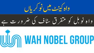 Wah Novel Jobs Wah Cantt  Wah Cantt Jobs July 21 2024  Wah Cantt Jobs Today  Wah Cantt Jobs [upl. by Anurb]