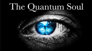 What is CONSCIOUSNESS The Case for the Quantum Soul [upl. by Feetal]