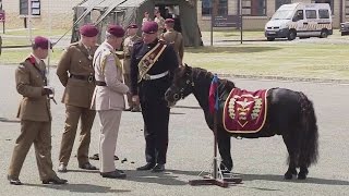 Parachutes and ponies to celebrate Charles 40 years as ColonelinChief [upl. by Lona473]