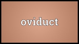 Oviduct Meaning [upl. by Leraj]