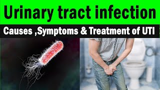 What is urinary tract infection  Symptoms amp Treatment of UTI Clear explanation [upl. by Lanaj846]