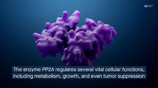 How tumor suppressor PP2A promotes colorectal cancer [upl. by Eimmac613]