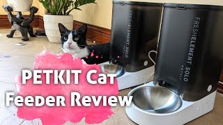 PETKIT Cat Automatic Feeder Review l Fresh Element Solo [upl. by Oirelav]