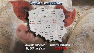 265 agro wiadomości nonstop  10092024 [upl. by Bjorn]