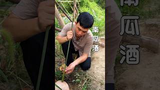 Traditional pumpkin wine making 传统制作南瓜酒 shorts traditional rurallife [upl. by Blinnie817]