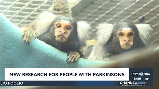 One step further forward How primate study could help people with Parkinsons disease [upl. by Carina]