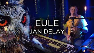 Eule  Jan Delay  Cover von Pandorsaurus [upl. by Aihsik]