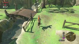 Lets Play Breath of the Wild part 16 Flown the Coop [upl. by Refeinnej9]