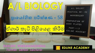 Microbiology Practical No 12  Preparation of agar plates Advanced Level Biology Practicals [upl. by Quarta]