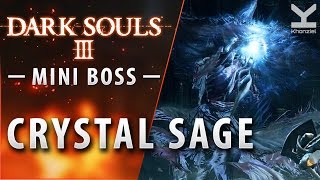 Dark Souls III  Mini Boss  Crystal Sage  Grand Archives [upl. by Ocram]