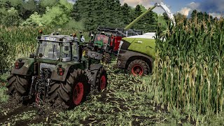 Maize silage harvest in EXTREME MUD  Every tractor get stuck  Farming Simulator 22 [upl. by Aneleasor614]