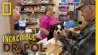 The Shoestring Diet  The Incredible Dr Pol [upl. by Wellesley]