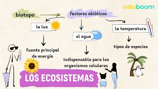 Los ecosistemas y sus componentes  Biología y Geología 1° ESO [upl. by Ecyor212]