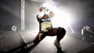 CM Punk Entrance Music Lyrics [upl. by Lledyr]