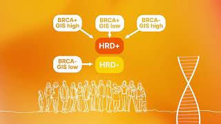 Introduction to Homologous Recombination Deficiency HRD assessment [upl. by Stier]