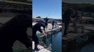 Fishing near Nishijima Nishijima Island in Japan music lake fishinghole japan fishingvacation [upl. by Berey461]