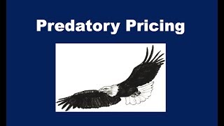 What is Predatory Pricing [upl. by Nicholl]