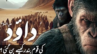 Hazrat dawood ki qaum l documentary l islamic history l Urdu story l islam with afshan [upl. by Minor]