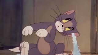 Tom and Jerry Episode 4 Fraidy Cat Part 2 [upl. by Michale]