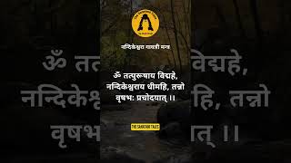 नन्दिकेश्वरा गायत्री मंत्र  Nandikeshwar Gayatri Mantra thesanatanitales gayatrimantra [upl. by Shatzer]