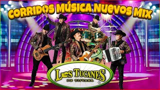 Los Tucanes Del Norte Exitos 2024 💥💥💥 Las Mejor Cancion De Los Tucanes 💥💥💥 Norteñas Viejitas 💥💥💥 [upl. by Silverstein972]