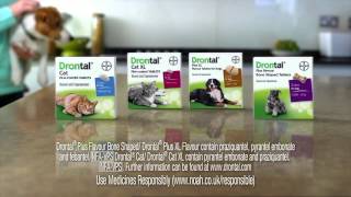 Drontal worming for puppies dogs and cats  Pharmacy4petscom [upl. by Deys35]