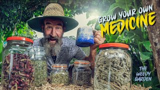 Essential Medicinal Herbs for Health  GROW YOUR OWN MEDICINE  5 Medicinal Herbs you need to know [upl. by Ivo]