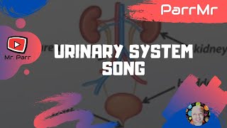 Urinary System Song [upl. by Waldner]