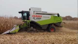 Claas Lexion 530 op Tidue rupsen Trekkerweb [upl. by Auhsej]