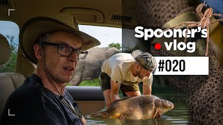 We Travel the World for The Monster Carp Special  Spooners Vlog 20 [upl. by Anitsej]