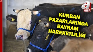 Kurban Pazarlarında Bayram Hareketliliği İlk Günde Satışlar Devam Ediyor l A Haber [upl. by Dreeda531]