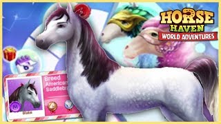 The NEW American Saddlebred Horse in Horse Haven World Adventures [upl. by Keever]