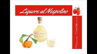 LIQUORE NESPOLINO FATTO IN CASA Ricetta Facile [upl. by Blockus]