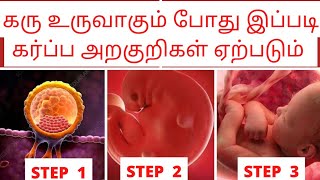 early pregnancy symptoms in tamil by doctorகரு உருவாதல் அறிகுறிimplantation symptoms in tamil [upl. by Deehahs219]