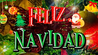 Feliz navidad para ti Abre este hermoso mensaje Frases bonitas de navidad [upl. by Won]