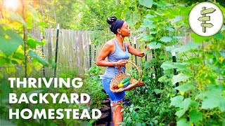 Womans Incredible Backyard Homestead Produces TONS of Food for Her Family – URBAN GARDEN TOUR [upl. by Seltzer]