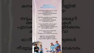 Illathe Kalyanathinu Song Lyrics  Vettam  subscribe ytshorts trending shortsfeed songlyrics [upl. by Ainigriv]