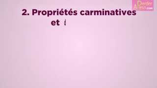 Les 3 propriétés de la cannelle pour amincir A quoi sert la cannelle si vous êtes à la diète [upl. by Enia]