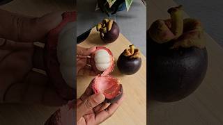 Mangosteen Juice shorts shortvideo [upl. by Latsirk]