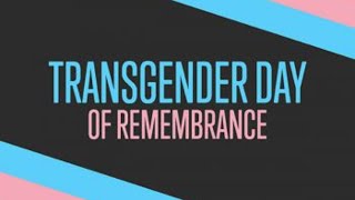 Trans characters in media happy transgender day of remembrance 2024 [upl. by Aenneea593]