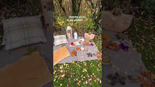 Autumn Picnic In The Garden 🍁 picnic freshair autumncolors autumncrafts chailatte [upl. by Lewan]