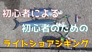 【堤防から大物！】ライトショアジギングのやり方をLSJ歴1年の初心者が解説する。 [upl. by Donoghue157]