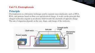 III  3rd Year DMLT Biochemistry Notes  Quick reference guide [upl. by Mick]