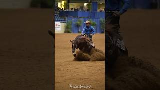 Matt Mills  NRHA lifetime Wins of over 100000000 😬 [upl. by Alroi]